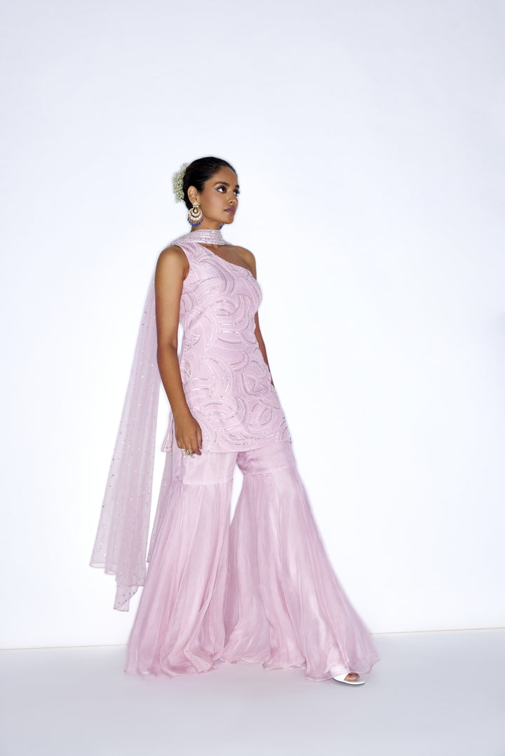 Rose Pink Embroidered Gharara set