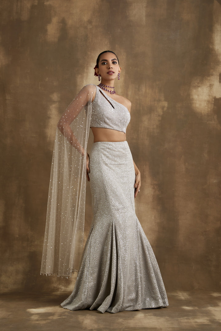 Sparkling silver Fish cut lehenga set