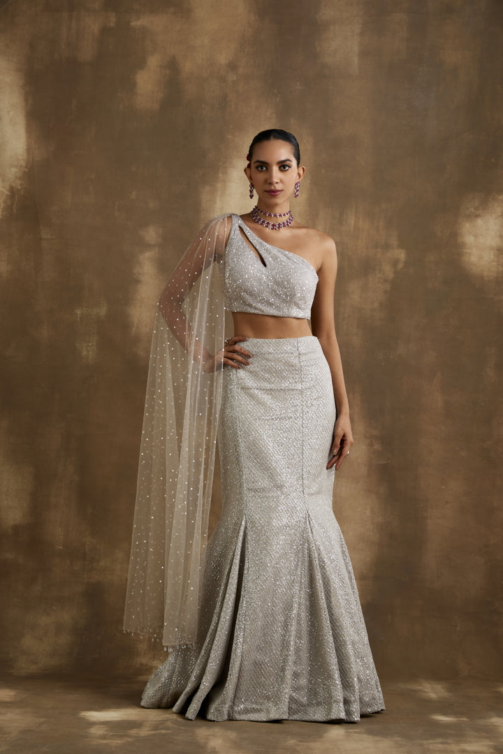 Sparkling silver Fish cut lehenga set