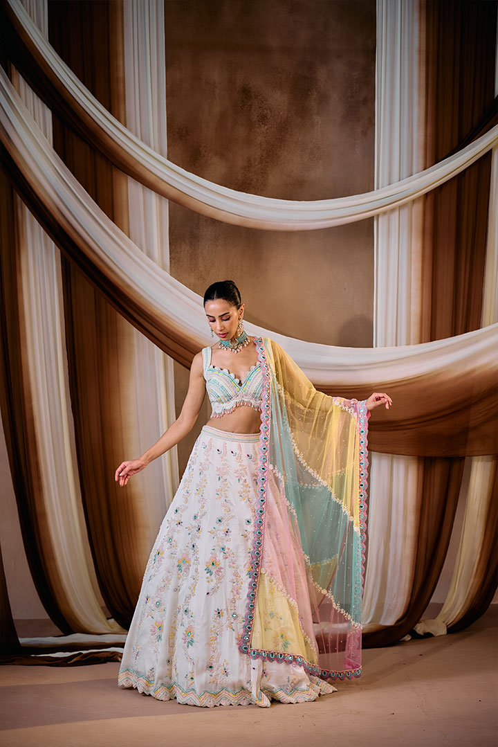 Multi color embroidered lehenga set