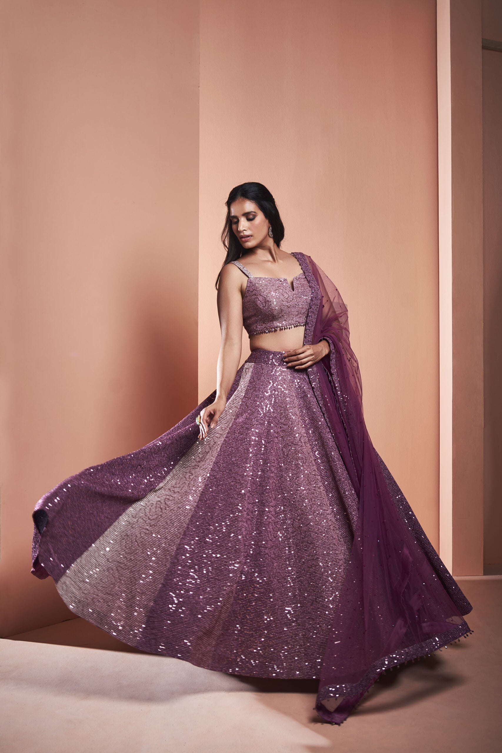 AC07 NK/SS09 Purple Ombre Shimmer