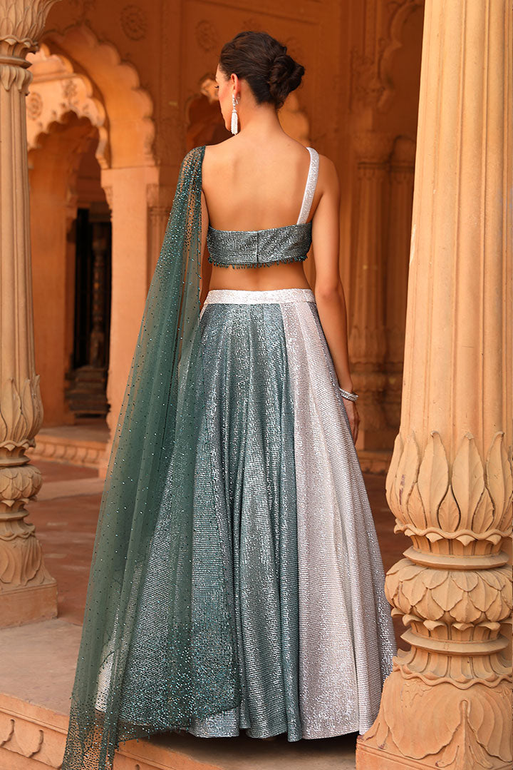 Ombre Sequin Lehenga Set