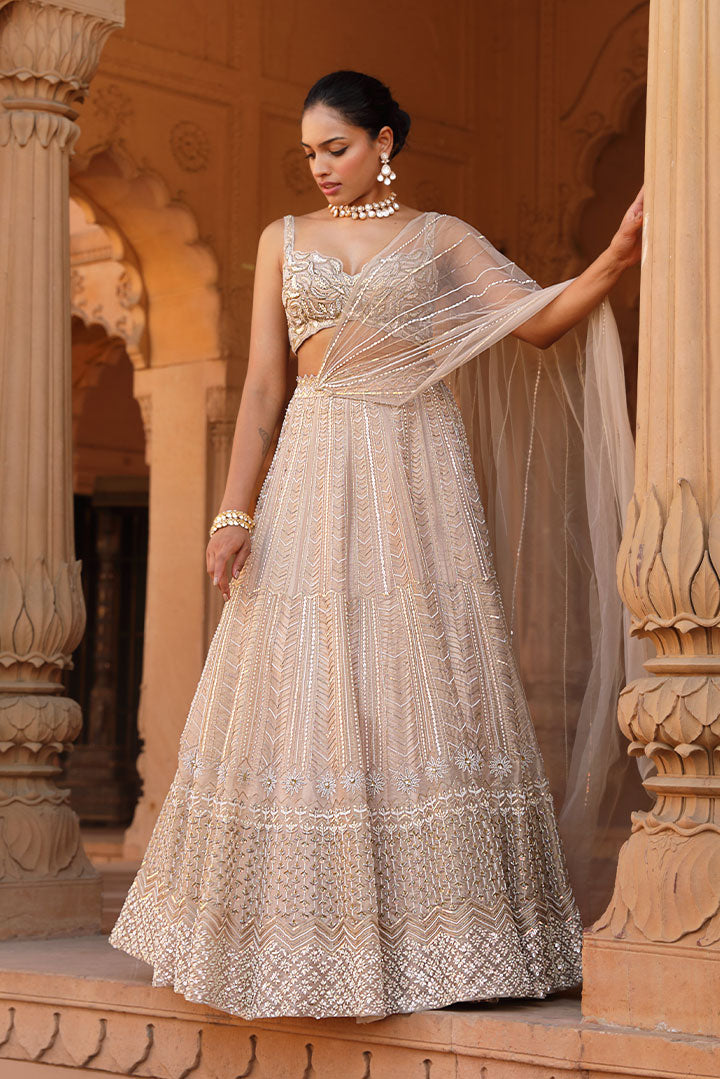 Contemporary Gold Embroidered Lehenga Set