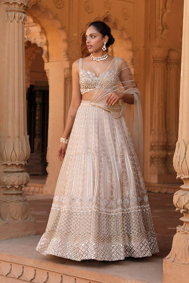 Contemporary Gold Embroidered Lehenga Set