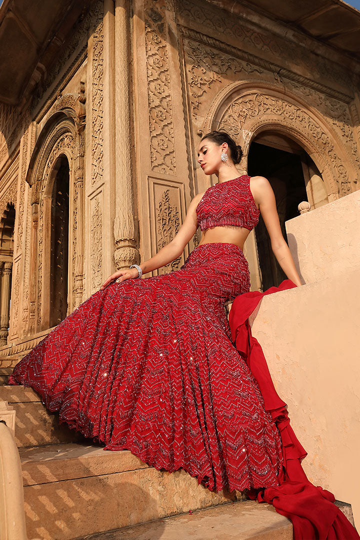 Deep Red Embroidered Lehenga Set