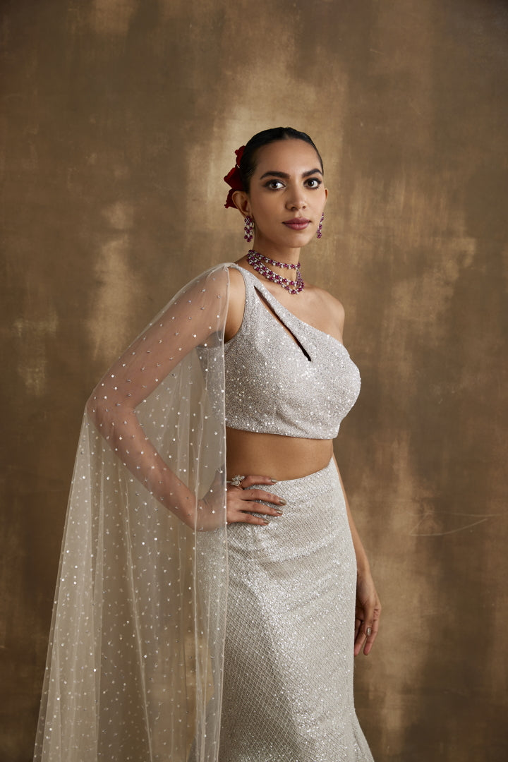 Sparkling silver Fish cut lehenga set