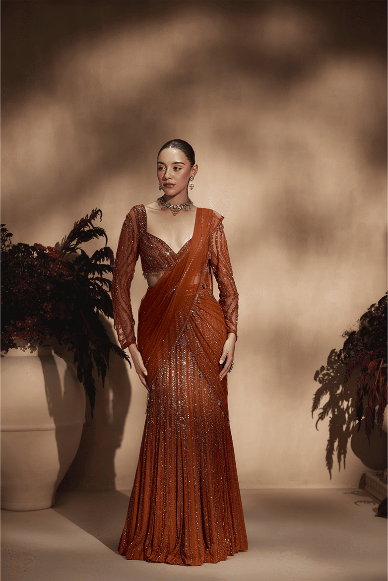 Amber Stardust Saree