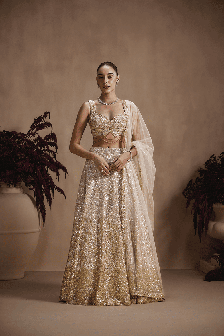 Celestial Champagne Lehenga Set
