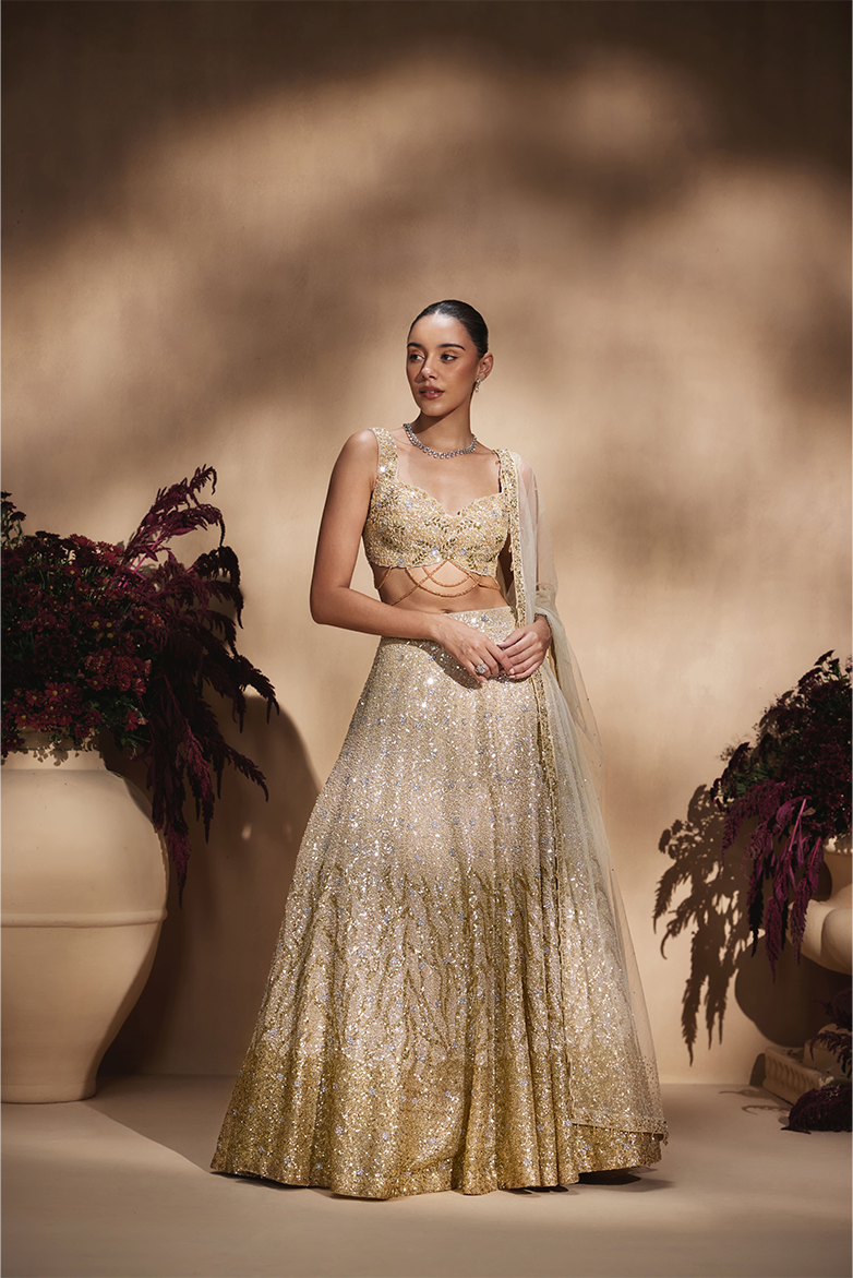 Celestial Champagne Lehenga Set