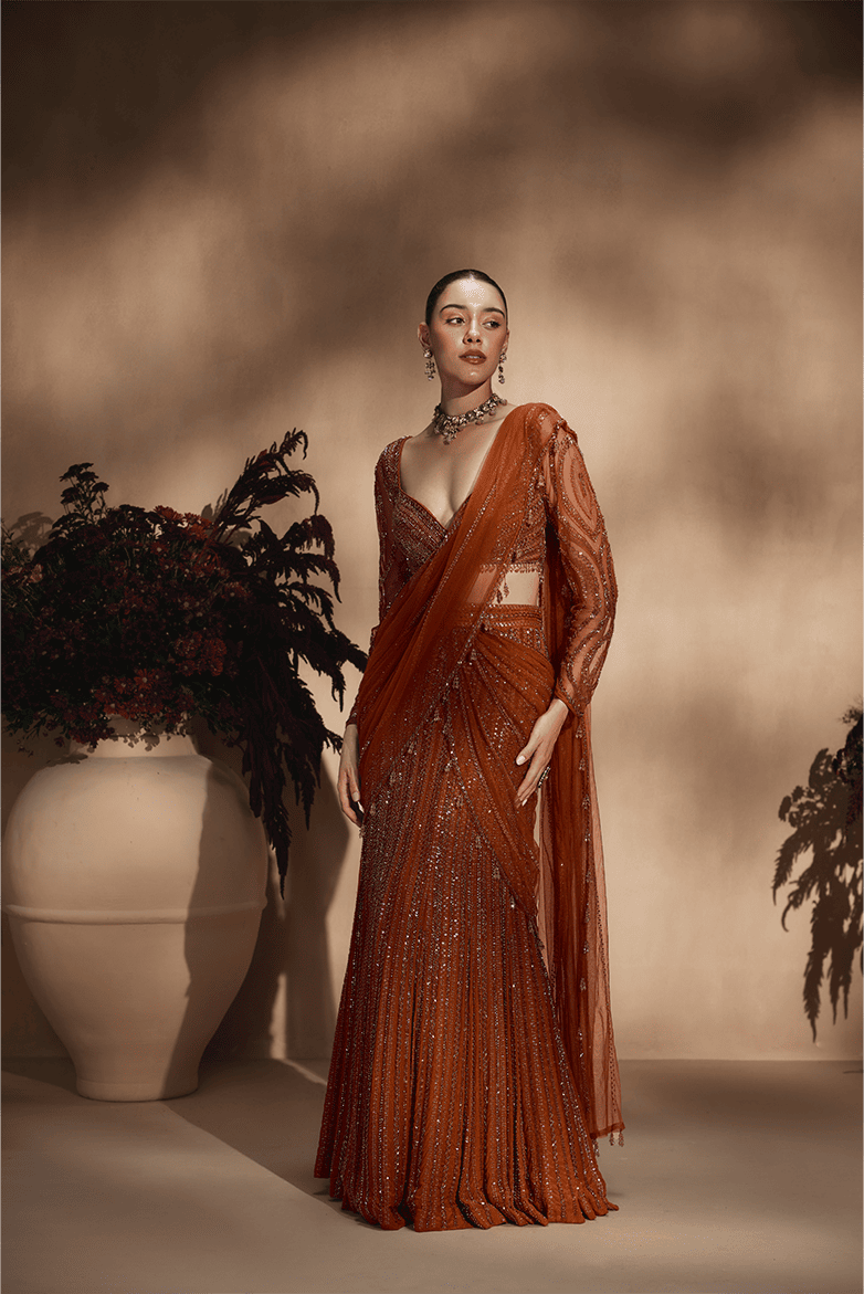 Amber Stardust Saree