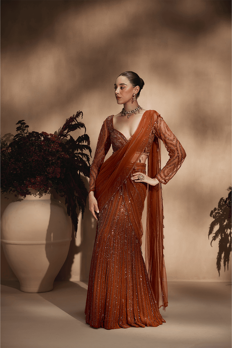 Amber Stardust Saree