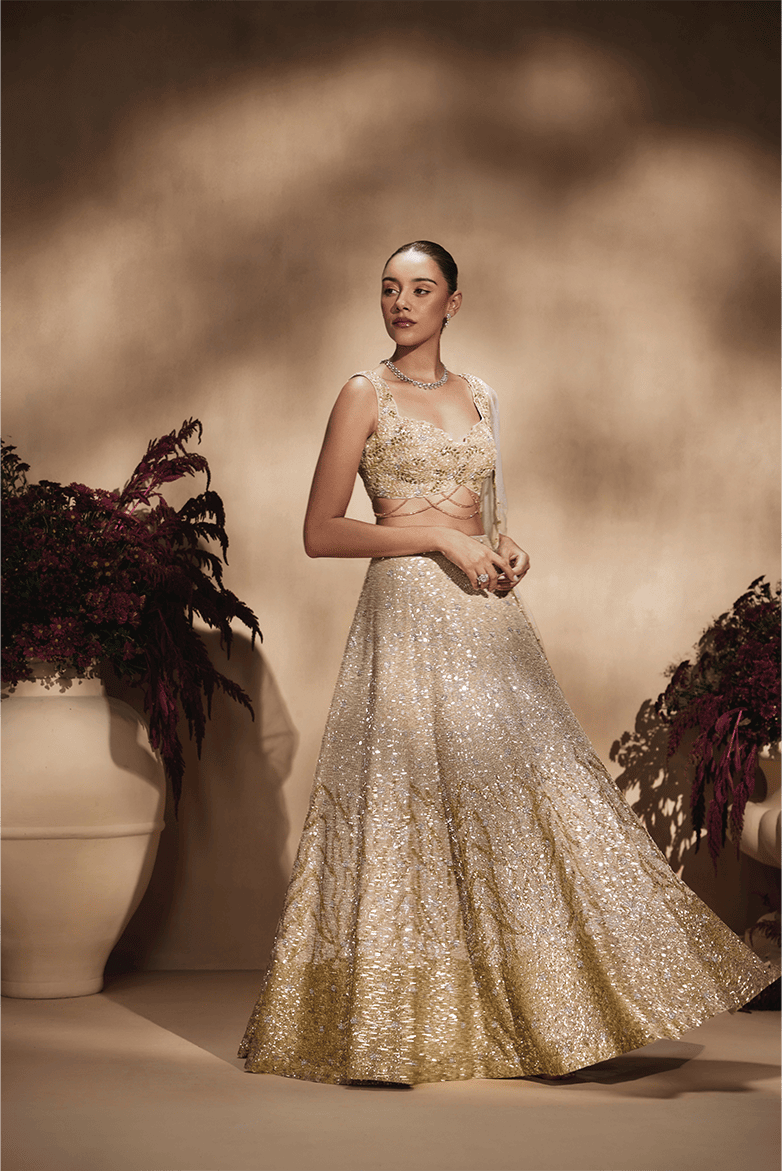 Celestial Champagne Lehenga Set