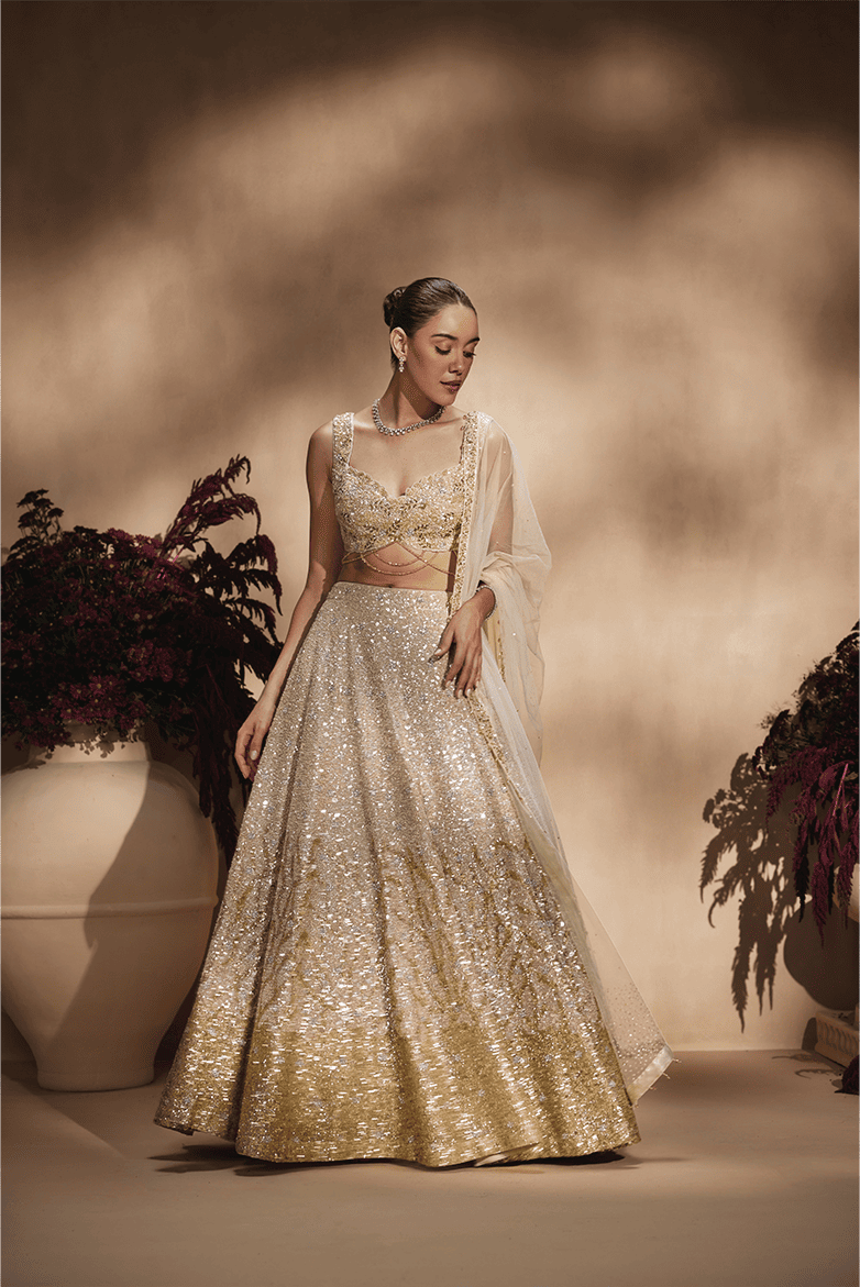 Celestial Champagne Lehenga Set