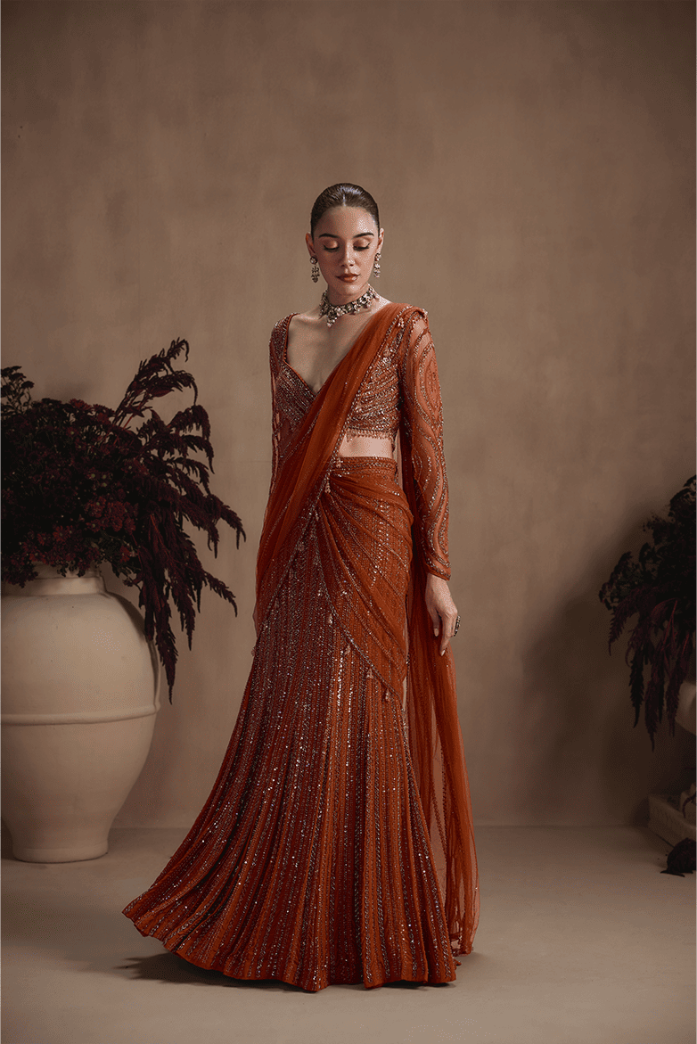 Amber Stardust Saree