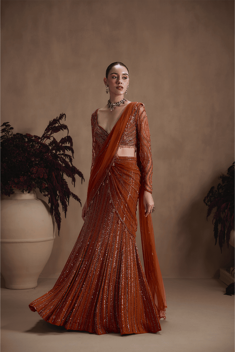 Amber Stardust Saree