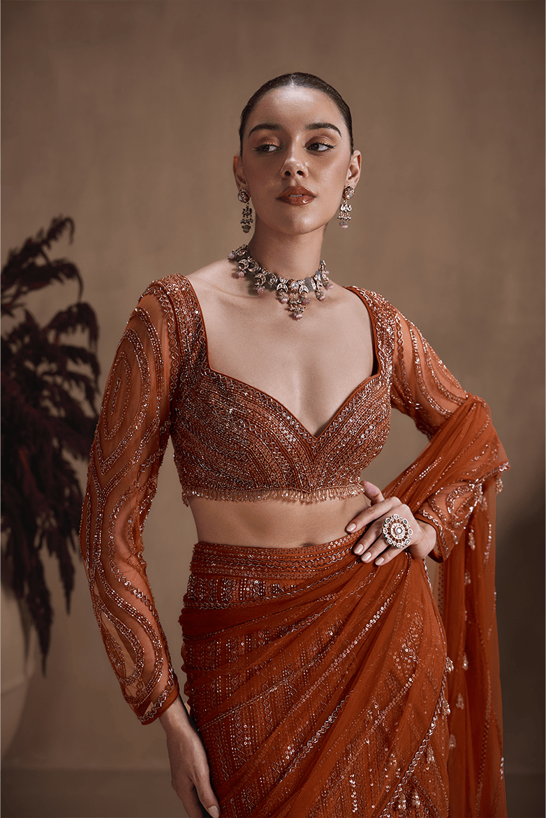 Amber Stardust Saree