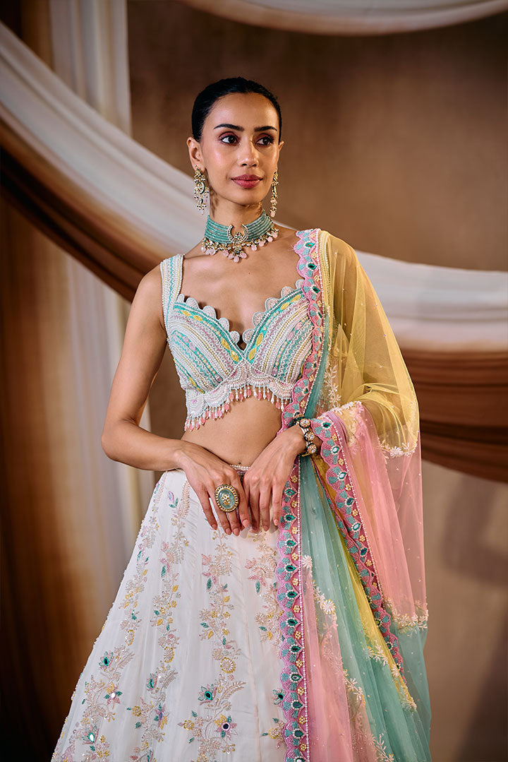 Multi color embroidered lehenga set
