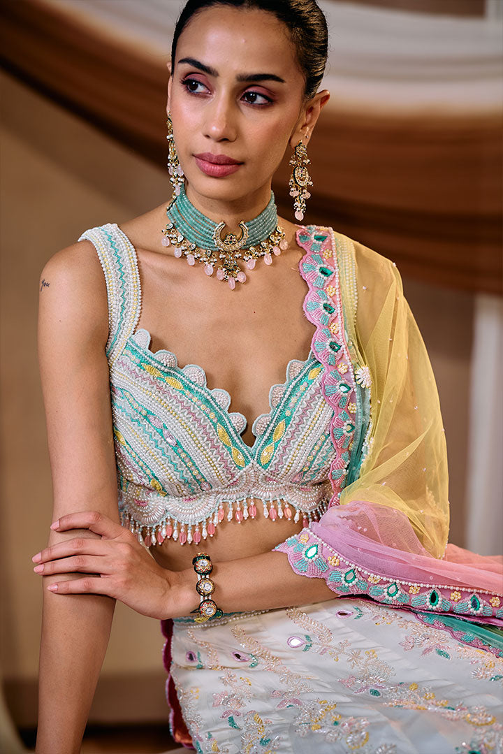 Multi color embroidered lehenga set